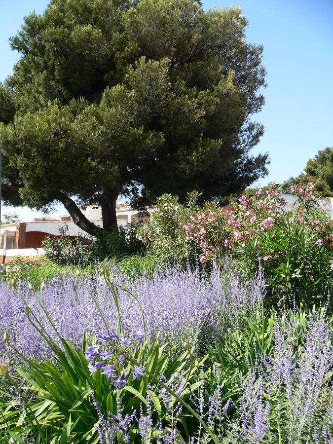 "Bien Vivre Ensemble" Aux Marches Du Soleil - Chambres Privees Chez L'Habitant Dans Appartement Partage Σετ Εξωτερικό φωτογραφία
